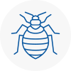 Bed Bug Extermination In Littleborough